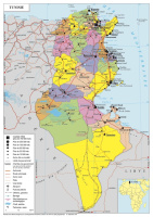 Brucellose en Tunisie : 12 cas épidémiques (autorités ...