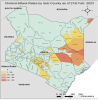 Épidémies de choléra en Afrique (OMS)