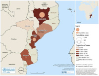 Choléra au Mozambique : 1934 cas (OMS)