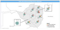 Épidémies de choléra au Zimbabwe (autorités sanitaires)