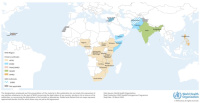 Risque épidémique mondial élevé de choléra dans le monde ...