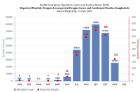 Dengue au Bangladesh : 290 000 cas recensés (autorités ...