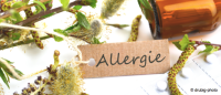 Allergies et voyages