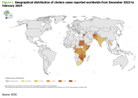 Épidémies de choléra dans le monde (ECDC)