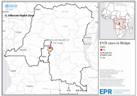 Point sur l'épidémie d'Ebola en RDC : 64 cas dont 42 décès