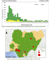 Fièvre de Lassa au Nigeria : 6 nouveaux cas (autorités ...