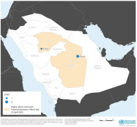 Neuf cas de MERS-CoV en Arabie Saoudite (ministère de la ...
