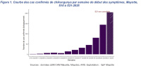 Chikungunya à Mayotte : phase épidémique (ARS)