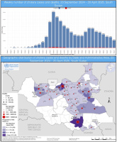 Choléra au Soudan du Sud :