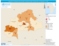 Dengue au Burkina Faso : l'épidémie se poursuit (OMS)