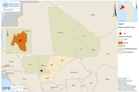 Dengue au Mali : 229 cas (OMS)
