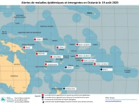 Dengue dans le Pacifique (Reliefweb)
