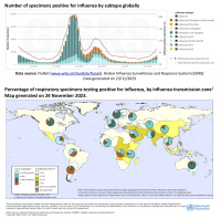 Épidémies de grippe dans l'hémisphère Nord (OMS)