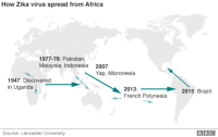 Infection à virus Zika