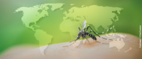 Le paludisme dans le monde