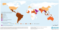 Dengue dans le monde en 2023 (OMS)